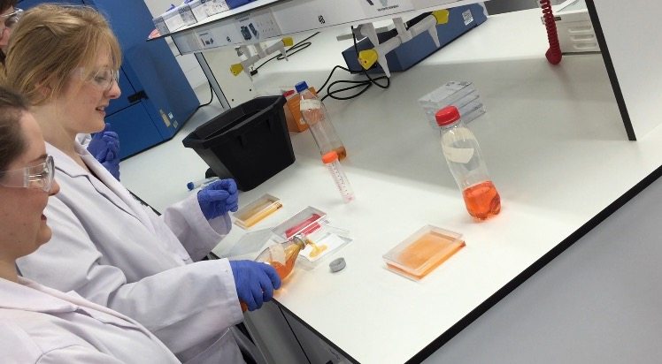 Students Use Irn Bru in Science Project